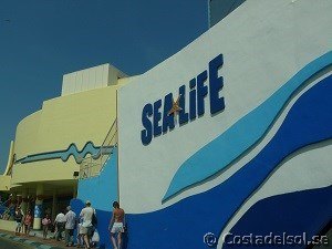 Sea life i Benalmadena