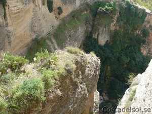 Ravinen Ronda